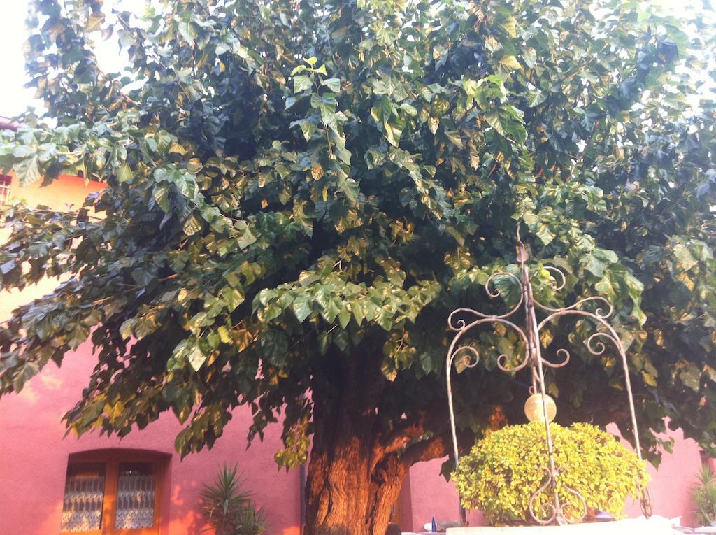 Agriturismo Al Casale Codroipo Dış mekan fotoğraf