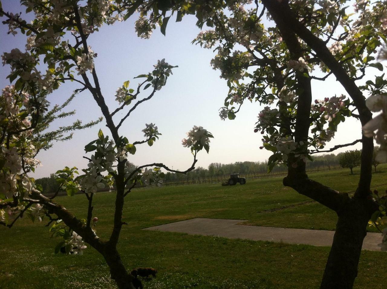 Agriturismo Al Casale Codroipo Dış mekan fotoğraf